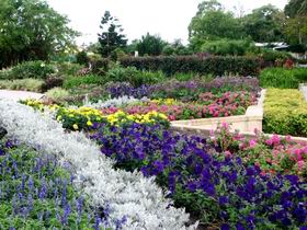 Gold Coast Regional Botanic Gardens - Travel Search 0